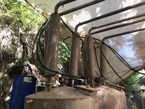 Jungle lab